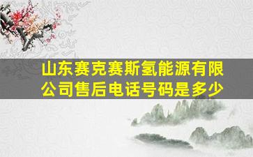 山东赛克赛斯氢能源有限公司售后电话号码是多少