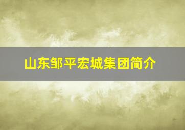 山东邹平宏城集团简介