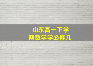 山东高一下学期数学学必修几