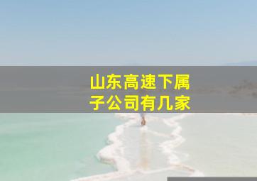 山东高速下属子公司有几家