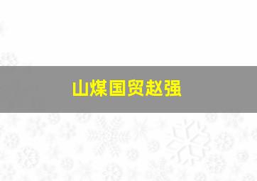 山煤国贸赵强