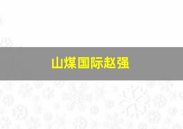 山煤国际赵强