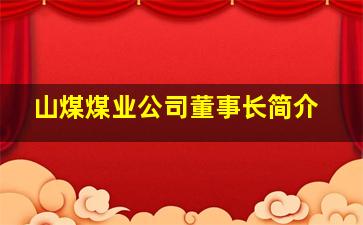 山煤煤业公司董事长简介