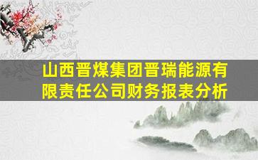 山西晋煤集团晋瑞能源有限责任公司财务报表分析