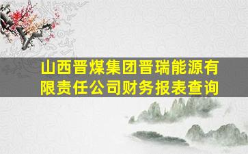 山西晋煤集团晋瑞能源有限责任公司财务报表查询