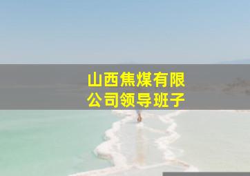 山西焦煤有限公司领导班子