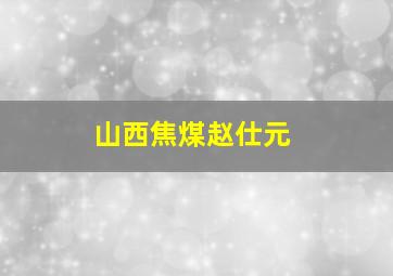 山西焦煤赵仕元