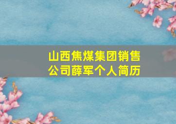 山西焦煤集团销售公司薛军个人简历