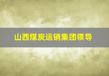 山西煤炭运销集团领导