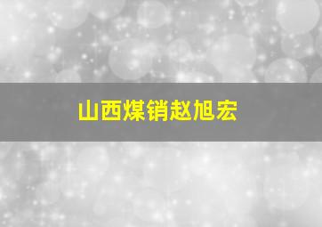 山西煤销赵旭宏