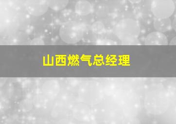 山西燃气总经理