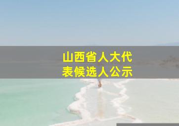 山西省人大代表候选人公示