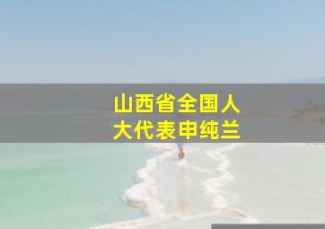 山西省全国人大代表申纯兰