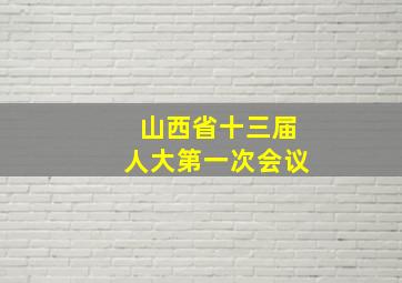 山西省十三届人大第一次会议