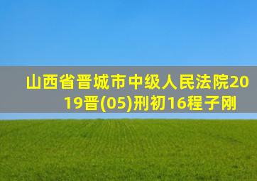 山西省晋城市中级人民法院2019晋(05)刑初16程子刚