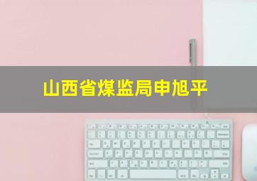 山西省煤监局申旭平