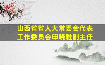 山西省省人大常委会代表工作委员会申晓雅副主任