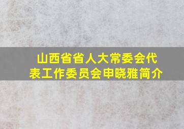 山西省省人大常委会代表工作委员会申晓雅简介