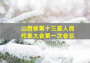 山西省第十三届人民代表大会第一次会议