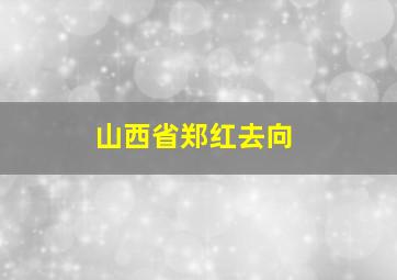 山西省郑红去向