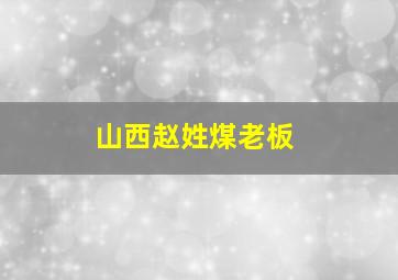 山西赵姓煤老板