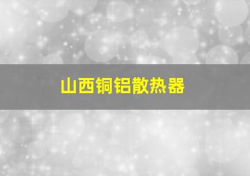 山西铜铝散热器