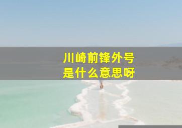 川崎前锋外号是什么意思呀