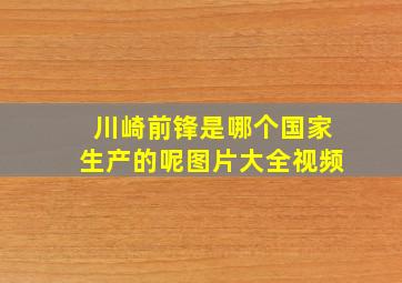 川崎前锋是哪个国家生产的呢图片大全视频