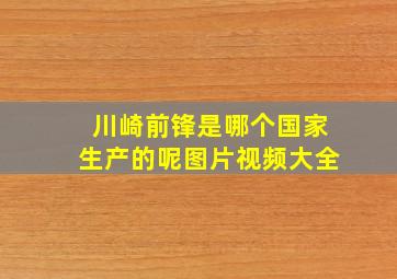 川崎前锋是哪个国家生产的呢图片视频大全