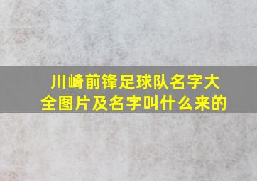 川崎前锋足球队名字大全图片及名字叫什么来的