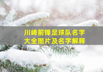 川崎前锋足球队名字大全图片及名字解释