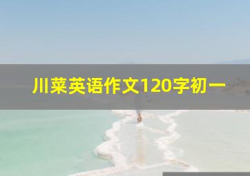 川菜英语作文120字初一