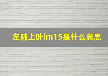 左肺上叶im15是什么意思