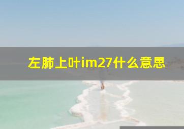 左肺上叶im27什么意思