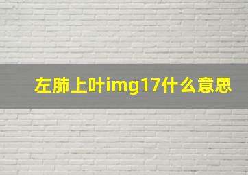 左肺上叶img17什么意思