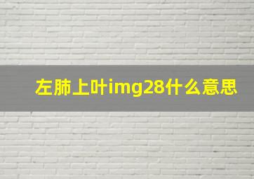 左肺上叶img28什么意思