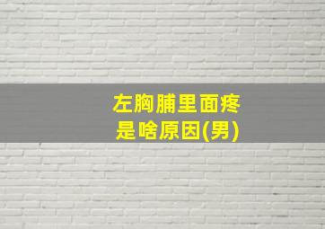 左胸脯里面疼是啥原因(男)