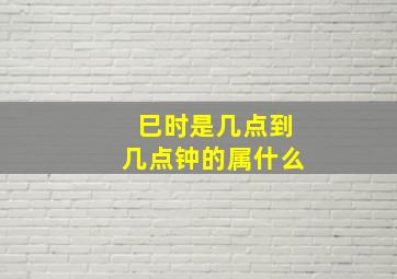 巳时是几点到几点钟的属什么