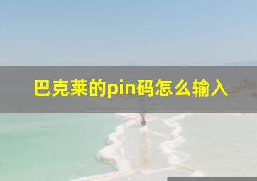 巴克莱的pin码怎么输入