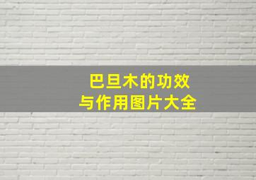 巴旦木的功效与作用图片大全