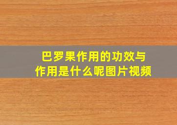 巴罗果作用的功效与作用是什么呢图片视频