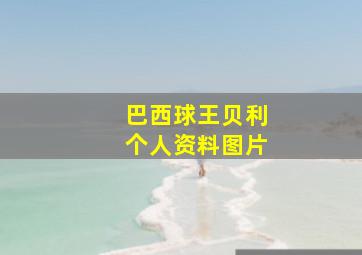 巴西球王贝利个人资料图片