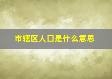 市辖区人口是什么意思