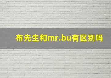 布先生和mr.bu有区别吗