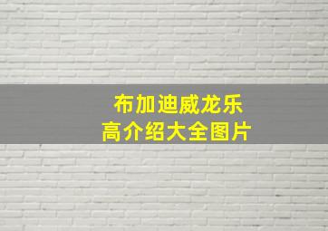 布加迪威龙乐高介绍大全图片