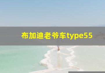 布加迪老爷车type55