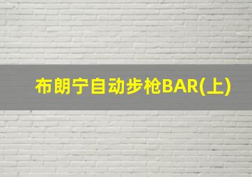 布朗宁自动步枪BAR(上)