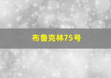 布鲁克林75号