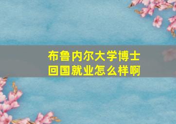 布鲁内尔大学博士回国就业怎么样啊