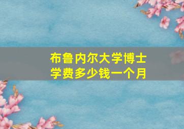 布鲁内尔大学博士学费多少钱一个月